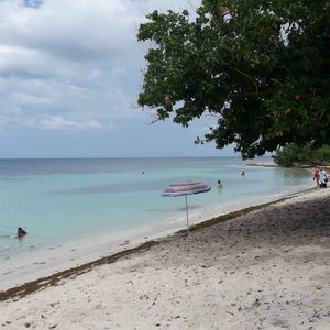 Meet your Posher, Frances